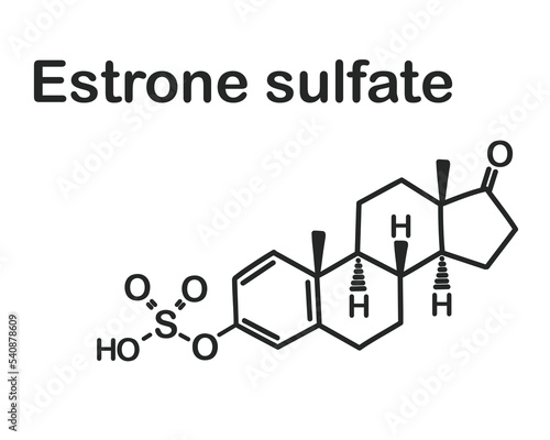 Structural chemical formula of estrone sulfate isolated on white background. photo