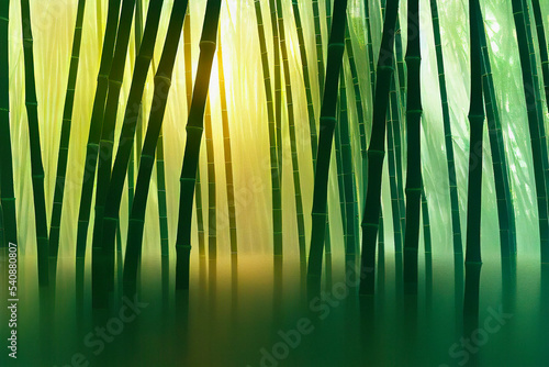 Sunlight in Bamboo Forest Submerged in a Lake. Abstract Summer Background