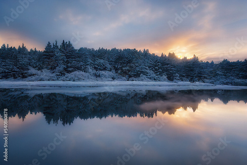 Winter Landscape with Sunrise behind a Pine Forest and Reflections in a Lake