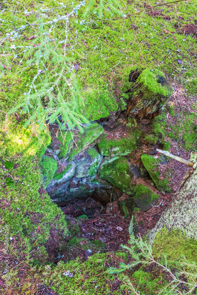 Fototapeta premium Old water well in a forest