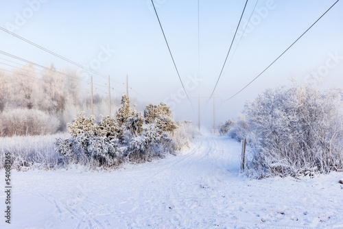 Hiking trail under a power line in winter