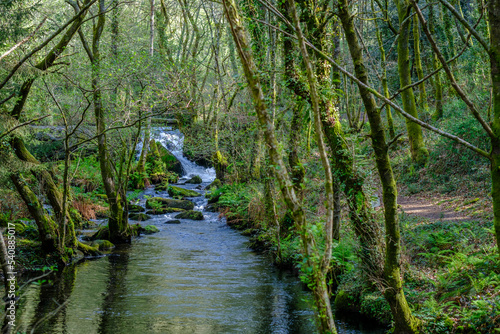 Upper part of the Nature Park of the Barosa River  an ethnographic and natural complex located in Barro  Pontevedra  Spain 