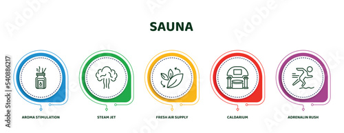 editable thin line icons with infographic template. infographic for sauna concept. included aroma stimulation, steam jet, fresh air supply, caldarium, adrenalin rush icons.