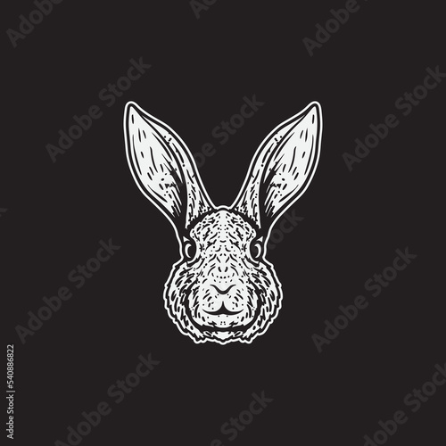 Hand drawn of rabbit head vector illustration.