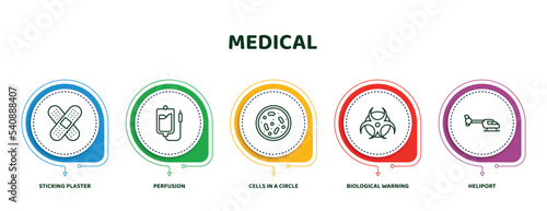 editable thin line icons with infographic template. infographic for medical concept. included sticking plaster, perfusion, cells in a circle, biological warning, heliport icons.