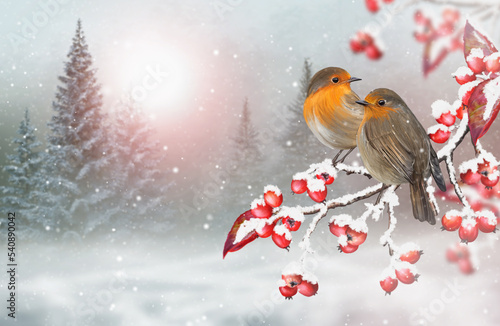 Christmas, New Year's winter holiday background, two birds sit sit on a tree branch with red berries, snow falls, blizzard, snowy forest, snowdrifts, evening lighting, 3d rendering