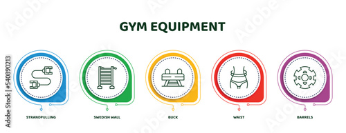 editable thin line icons with infographic template. infographic for gym equipment concept. included strandpulling, swedish wall, buck, waist, barrels icons.