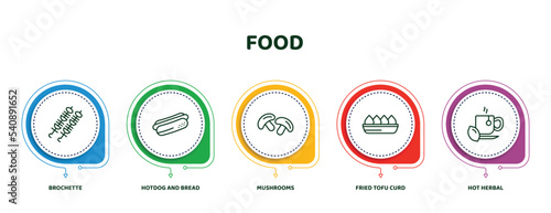 editable thin line icons with infographic template. infographic for food concept. included brochette, hotdog and bread, mushrooms, fried tofu curd balls, hot herbal icons.