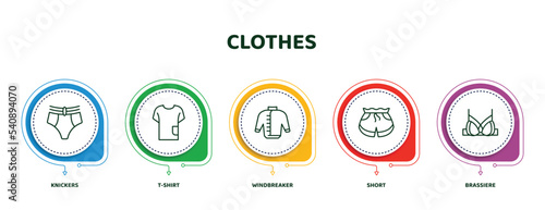 editable thin line icons with infographic template. infographic for clothes concept. included knickers, t-shirt, windbreaker, short, brassiere icons.