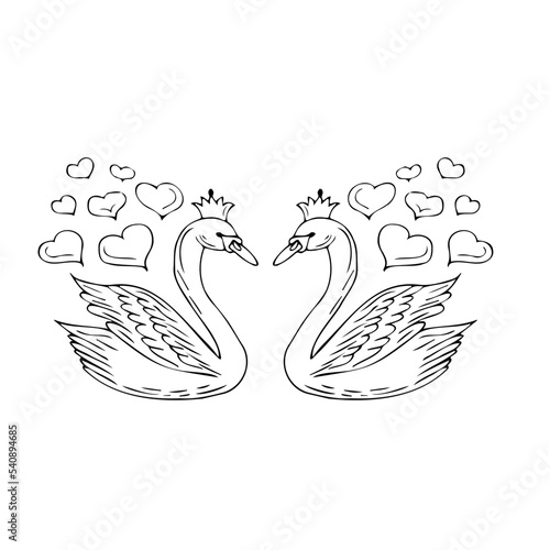 Swans of love. Contour illustration for your decor, for stories, for photographers