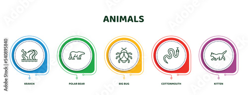 editable thin line icons with infographic template. infographic for animals concept. included kraken, polar bear, big bug, cottonmouth, kitten icons.