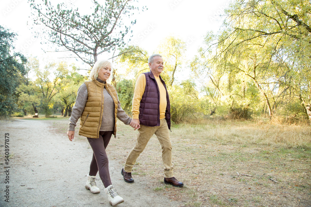 Fototapeta premium Couple holding hans while walking in the forest