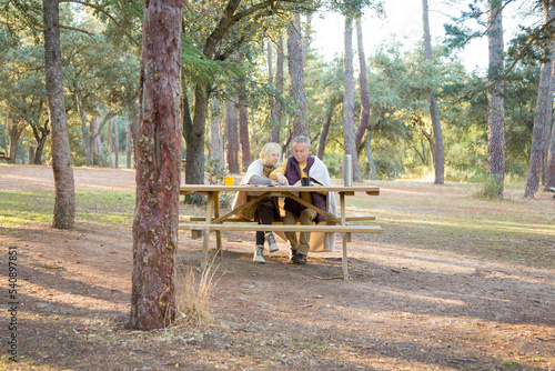 Photo with copy space of people in a picnic area in the forest
