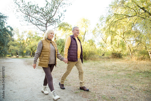 Couple holding hans while walking in the forest