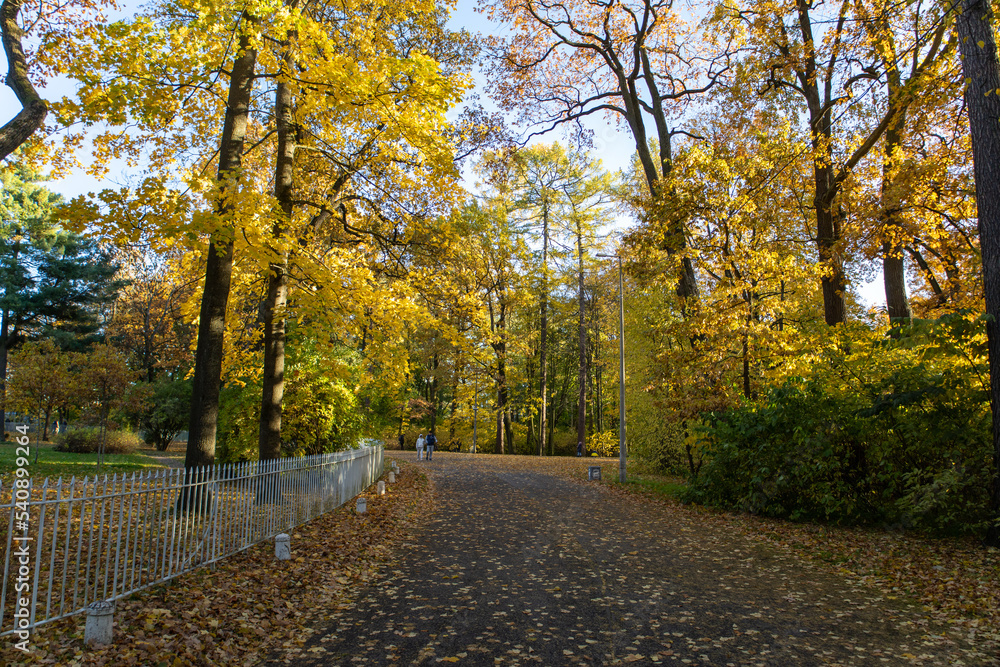 autumn park autumn park