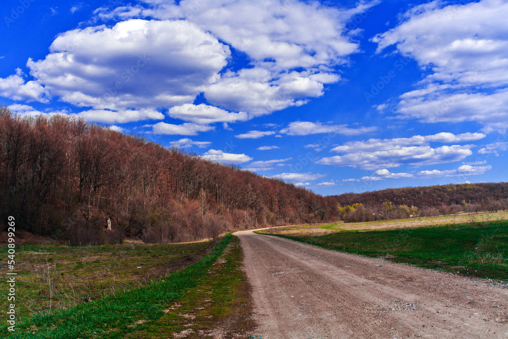 Beautiful landscape on a sunny day. An earthen road. Green meadows.A landscape with a colorful sky under the sun. Mountain slope. Green trees. natural background. Creative	
