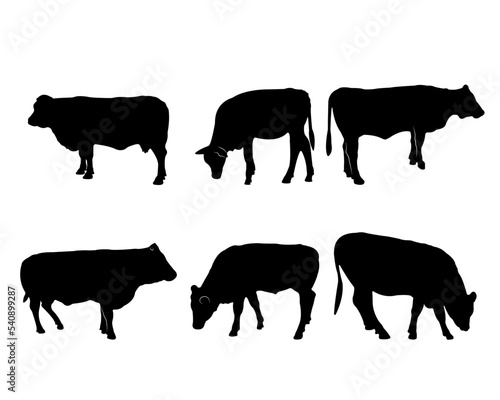 Collection of black silhouettes cows