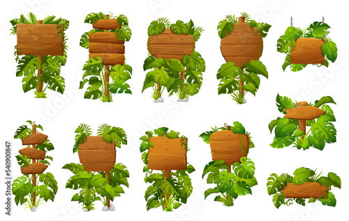 Wooden signs and boards with tropical jungle monstera leaves, vector signboards. Cartoon wooden arrow and board signs in jungle liana or ivy vine frames, entrance or direction wooden sign boards