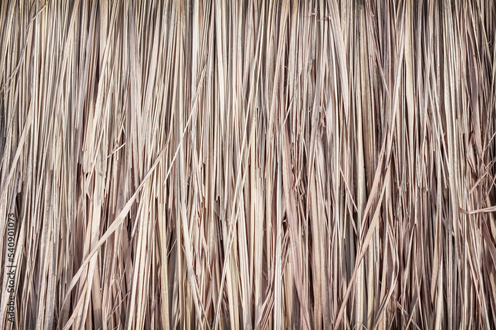 Straw texture natural patterns light brown background Straw texture natural patterns light brown background