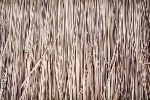 Straw texture natural patterns light brown background
