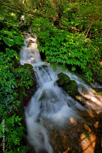  the Manyueyuan National Forest Recreation Area in New Taipei City, Taiwan photo