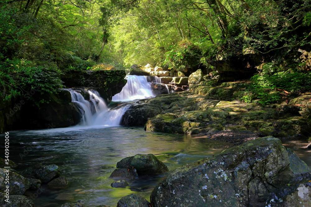  the Manyueyuan National Forest Recreation Area in New Taipei City, Taiwan