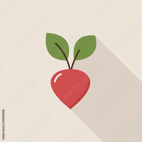 A simple flat beetroot style icon with a shadow. Healthy right food, vegetables. Vector illustration