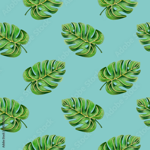Seamless pattern of tropical monstera leaves drawn with colored pencils on a Eggshell Blue background. For fabric, sketchbook, wallpaper, wrapping paper.