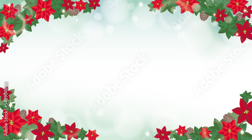 Christmas Poinsettia Red and Green color Background