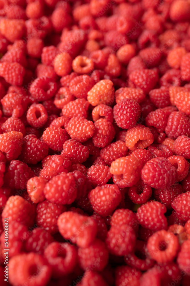 Raspberry - red fresh berryes background Raspberry - red fresh berryes background