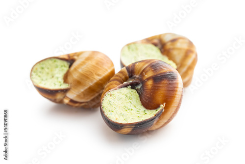 Snails with parsley butter, Bourgogne Escargot Snails isolated on white background. Delikatese food.