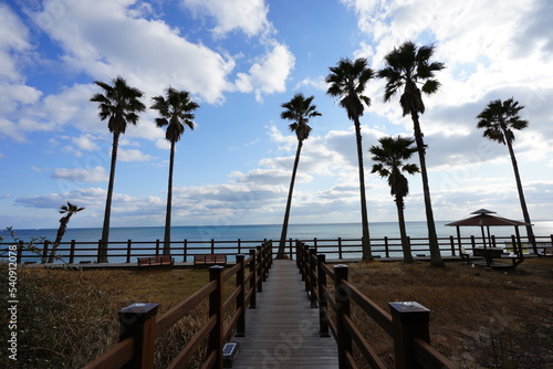 seaside walkway and gazebo