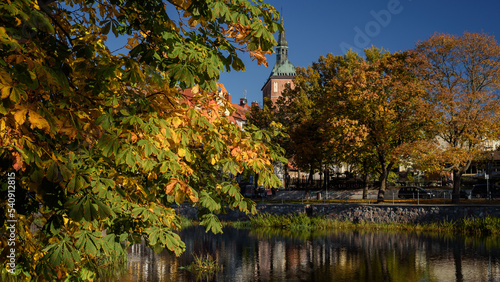 AUTUMN IN CITY - Colorful chestnut leaves with city on riverside in the background