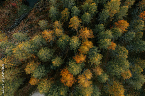 Ein wunderschöner bunter Wald im Herbst aus der Vogelperspektive. Gelbe und Grüne Bäume.