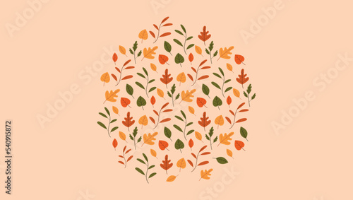 pattern, cerchio, autunno, foglie secche, carta da parati photo