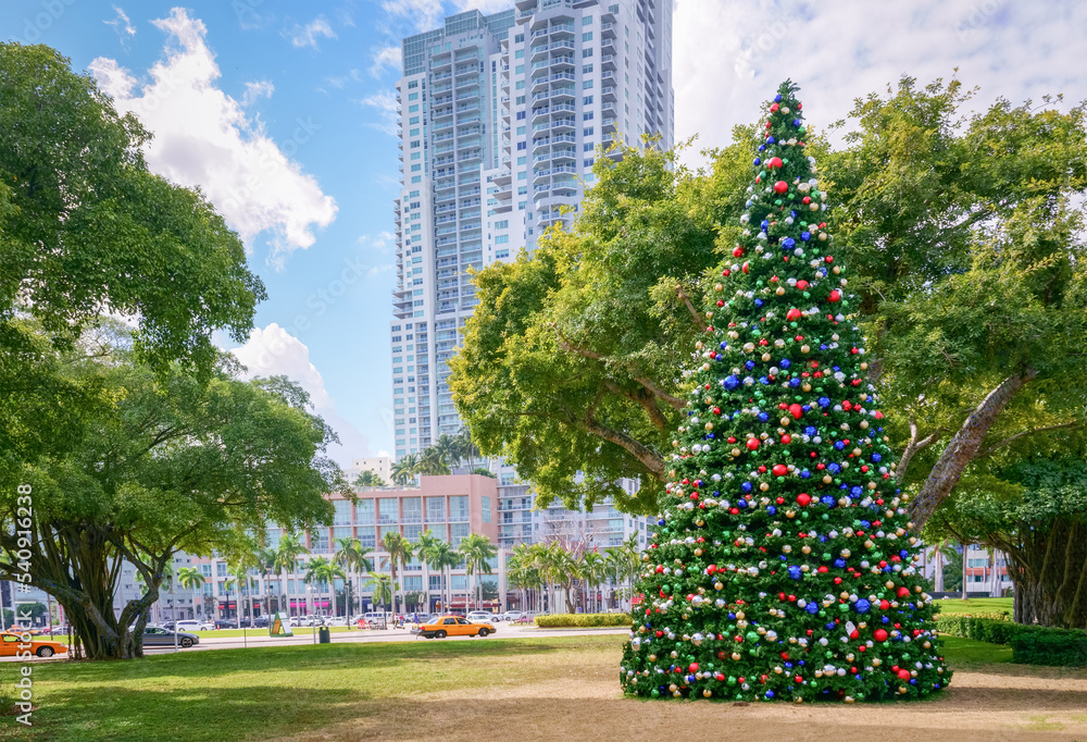 Fototapeta premium Street christmas tree in Miami, USA