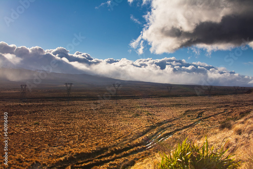 Power pylons and flooded dirt tracks running through tussock grass along the Desert Road. Mt Ruapehu barely visible behind low clouds. Central Plateau, New Zealand photo