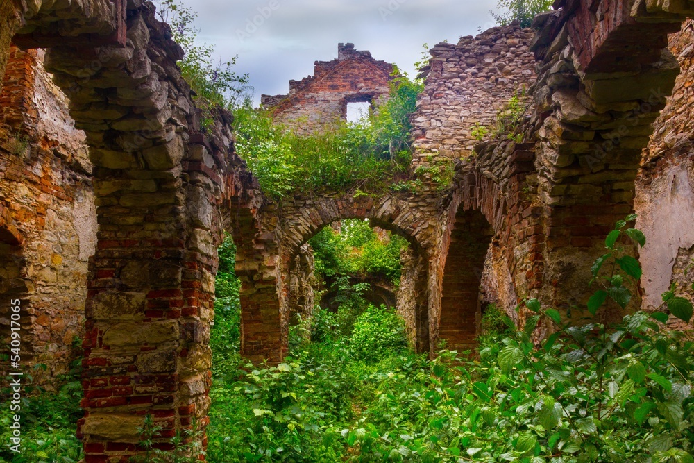 Ruins of palace in Wlodowicach, Poland