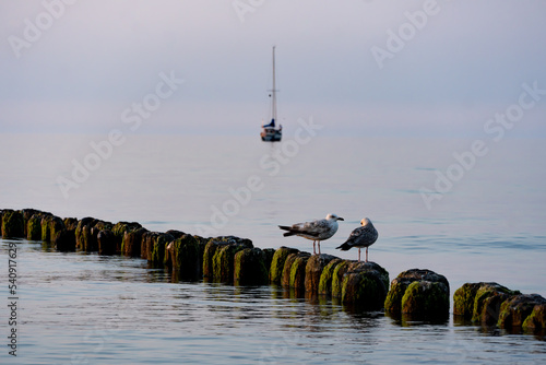 Perched seagulls on the breakwaters in the sea.
Sunset on the Baltic Sea, Kołobrzeg, Poland
Summer, 2022