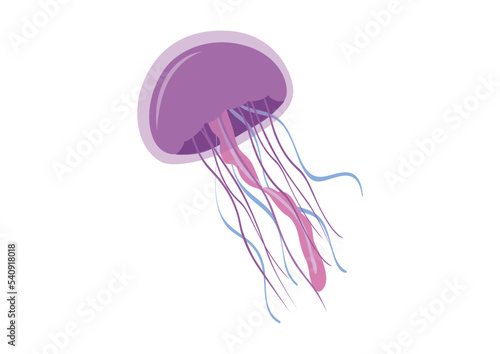 Cartoon jellyfish in flat style. Vector illustration of jellyfish isolated on white background