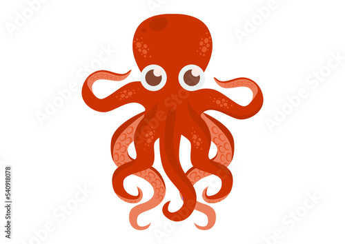 Cartoon Octopus Vector Graphics. Squid on white background