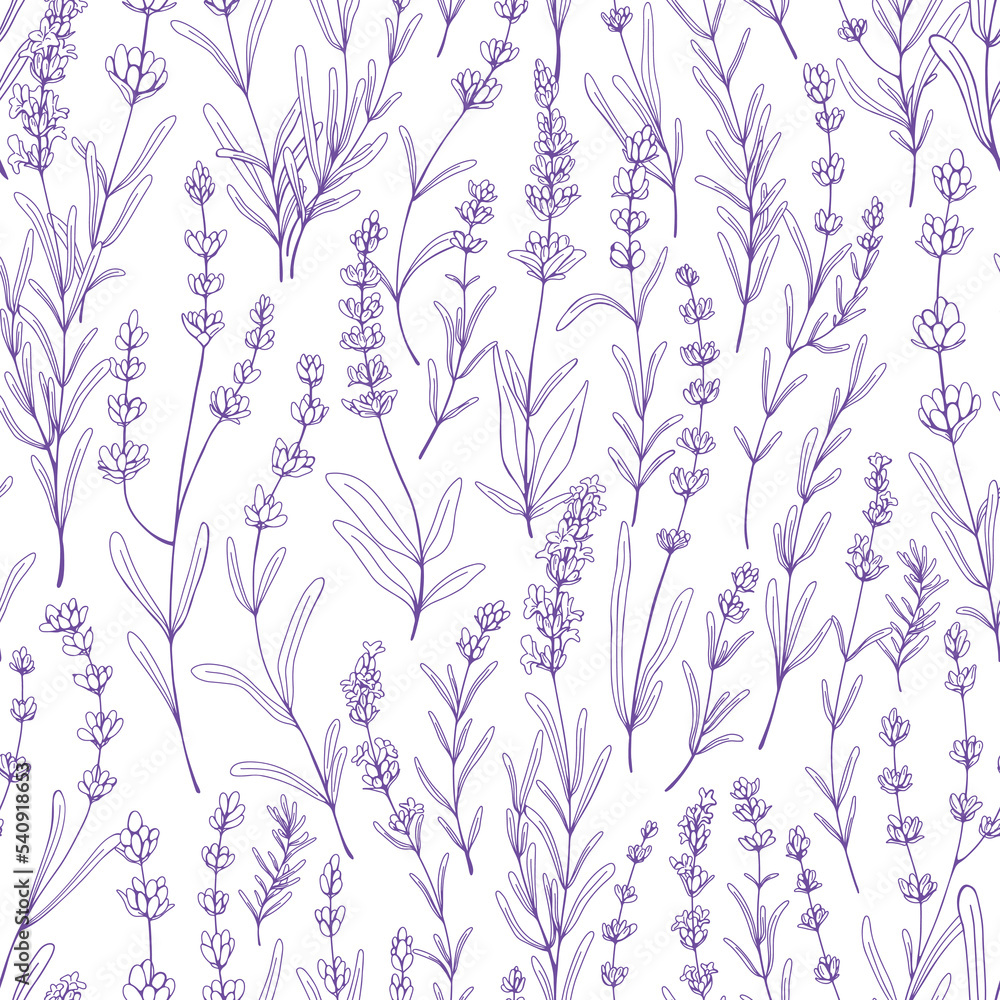 Seamless floral pattern with purple lavender. Botanical background, French violet flowers repeating print. Blossomed herbs texture design with Provence lavanda blooms. Hand-drawn vector illustration