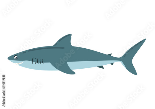 Cartoon Shark in flat style. Vector illustration of shark icon isolated on white background