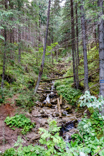 Route in the Tatra National Park