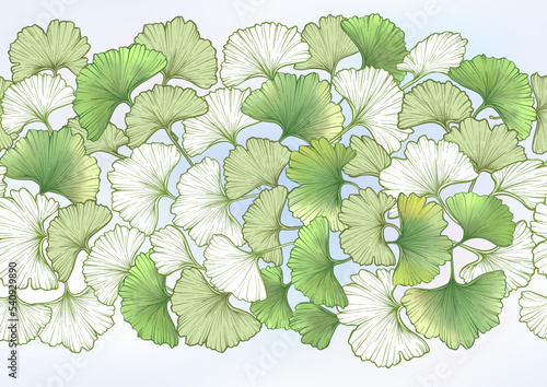 Ginkgo biloba leaves. Seamless pattern  background. Vector illustration. In botanical style