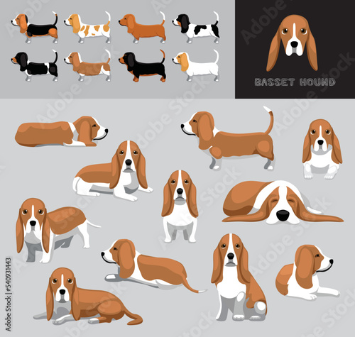 Dog Basset Hound Brown Coat Cartoon Vector Illustration Color Variation Set © bullet_chained