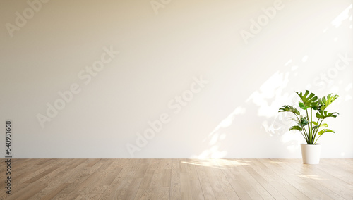 Blank white wall in modern flat. Monstera flower with large green leaves in flower pot on floor. Template for your content. 3D illustration.