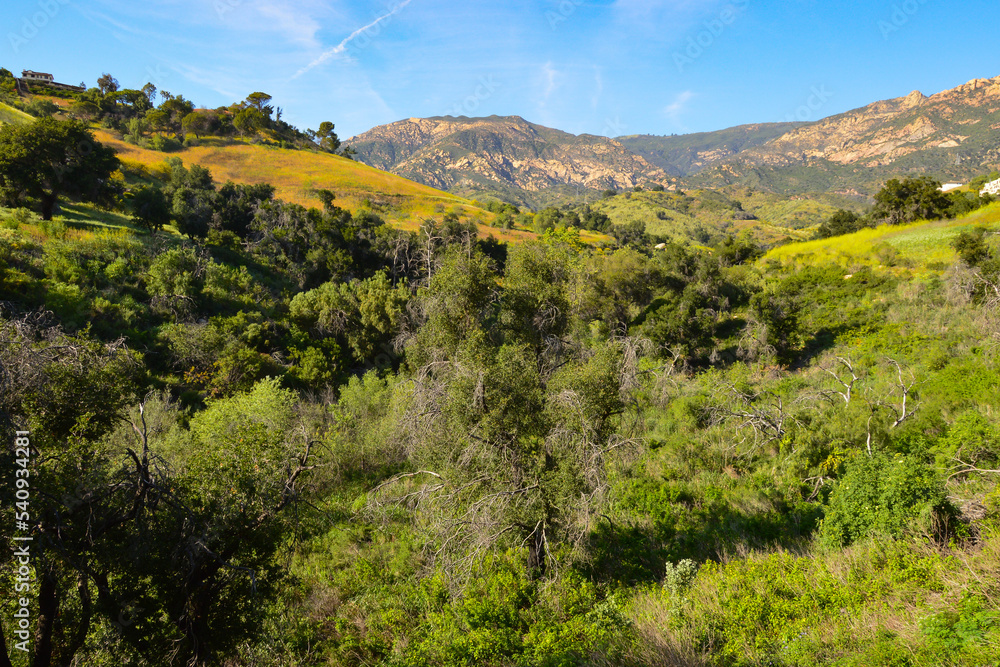 Fototapeta premium San Roque Canyon, Santa Barbara, California
