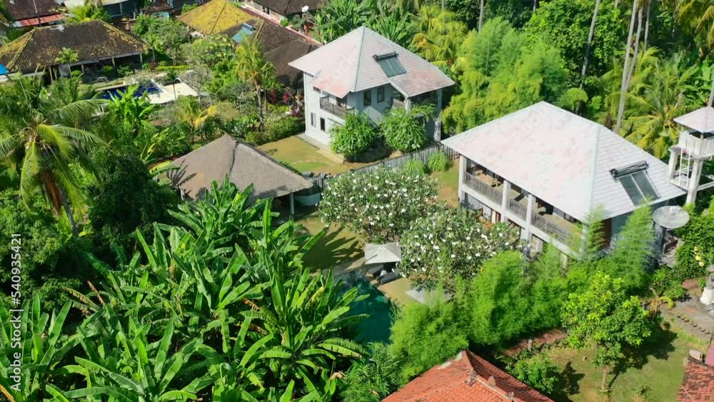 aerial zoom out of beautiful residential homes in jungle of Lovina Bali Indonesia on sunny summer day aerial zoom out of beautiful residential homes in jungle of Lovina Bali Indonesia on sunny summer day