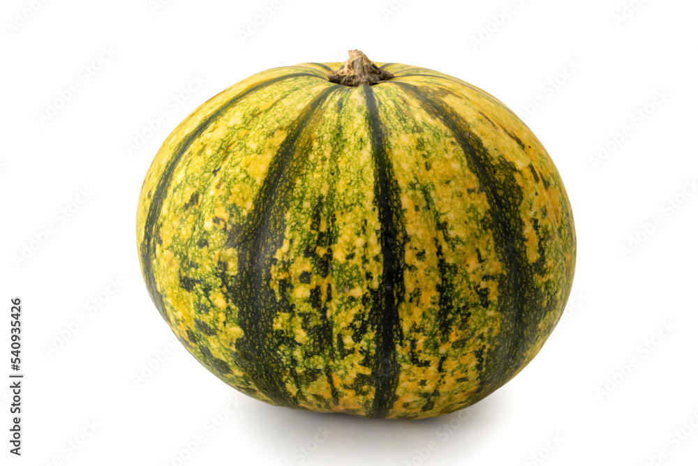 Round yellow pumpkin with green streaks., ornamental isolated on white, clipping path Round yellow pumpkin with green streaks., ornamental isolated on white, clipping path